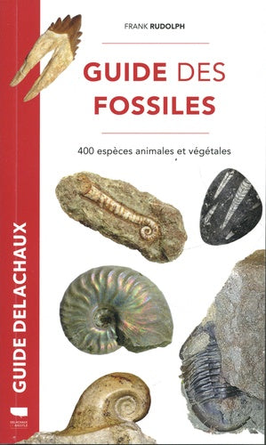 Guide des fossiles