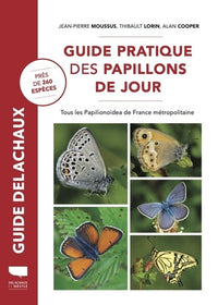 Guide pratique des papillons de jour