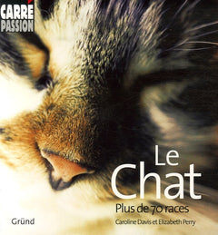 CHAT PLUS DE 70 RACES