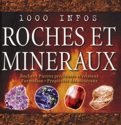 1000 infos roches & minéraux