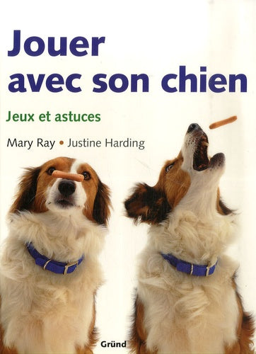 Jouer avec son chien