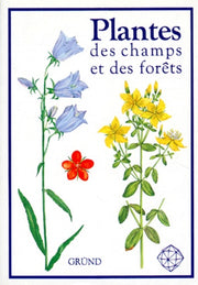 Plantes des champs et des forêts
