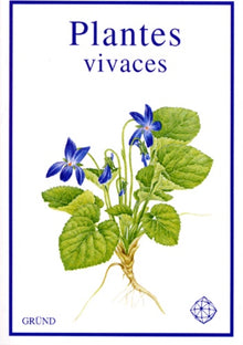 Plantes vivaces