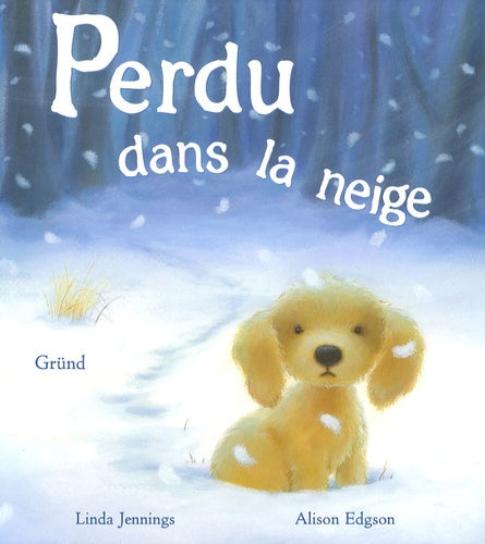 Perdu dans la neige