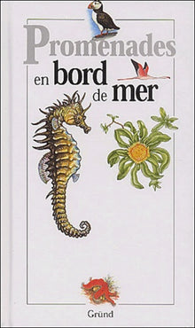 Promenades en bord de mer