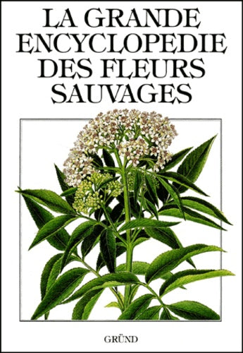 La grande encyclopédie des fleurs sauvages
