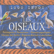 Oiseaux