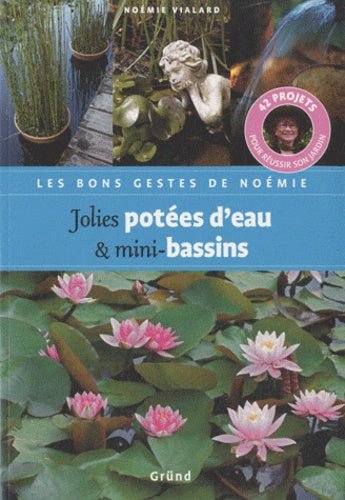 Jolies potées d'eau et mini-bassins