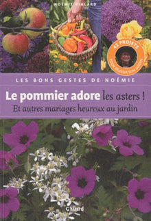 Pommier adore les asters !