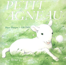 Petit Agneau