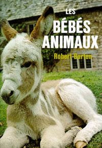 Bébé animaux