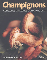 Les champignons : cueillettes et recettes d'un grand Chef