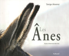 Les Anes
