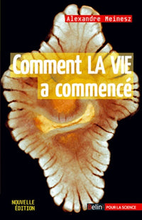 Comment la vie a commencé