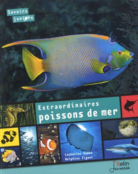 Extraordinaires poissons de mer