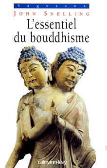 L'essentiel du bouddhisme