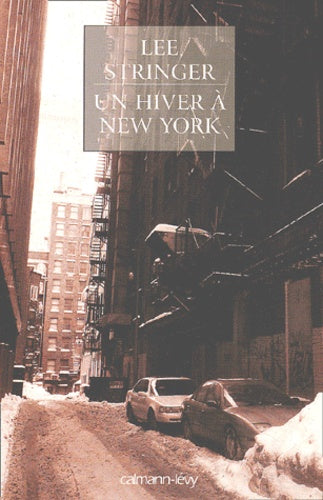 Un hiver à New York