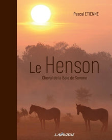Le Henson - cheval de la baie de Somme