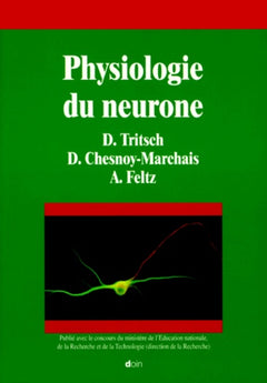 Physiologie du neurone