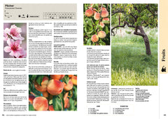 L'encyclopédie Flammarion du potager et du jardin fruitier