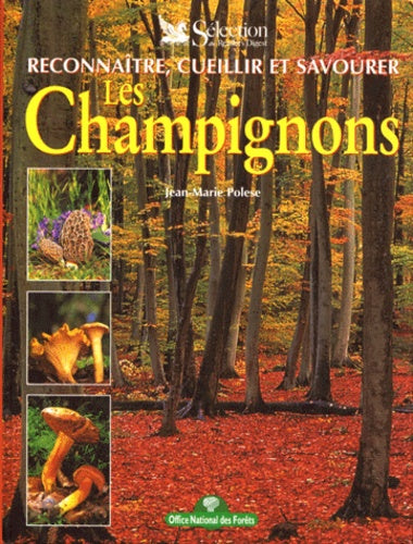 Reconnaitre, cueillir et savourer les champignons