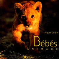 Bébés animaux