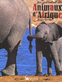 Sur traces des animaux afrique