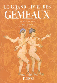 Le grand livre des gémeaux