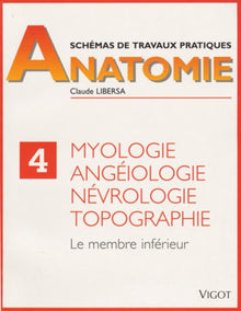 Myologie, angéiologie, névrologie, topographie. Membre inférieur