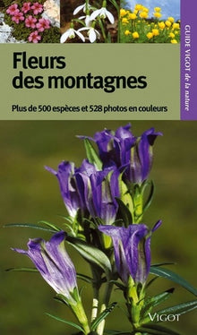 Fleurs de montagne
