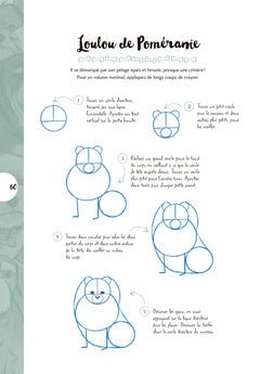 10 étapes pour dessiner des chiens