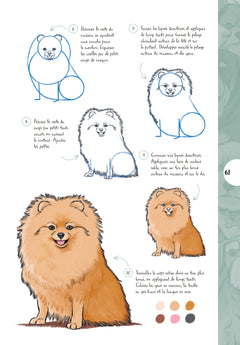 10 étapes pour dessiner des chiens
