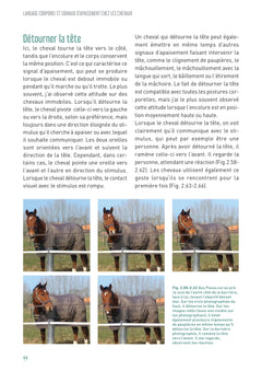 Langage corporel et signaux d'apaisement chez les chevaux
