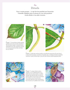 Aquarelle d'après nature