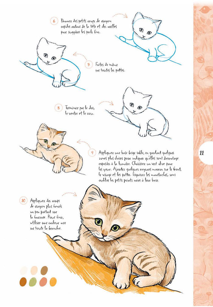 10 étapes pour dessiner des animaux adorables