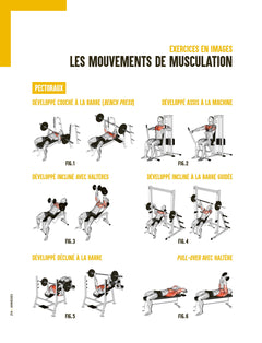 Fitness : conseils de coachs