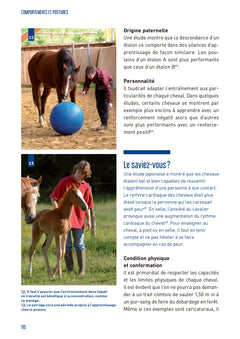 Comportements et postures