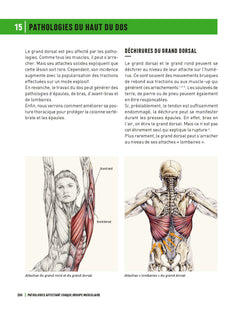 Blessures en musculation et sports de force