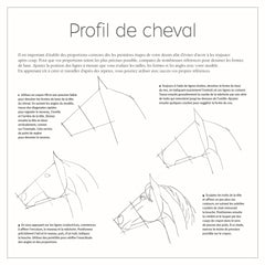 Dessiner tout de suite et facilement : Les animaux