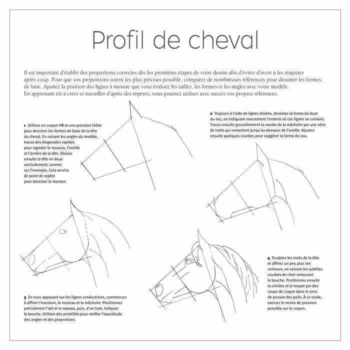 Dessiner tout de suite et facilement : Les animaux