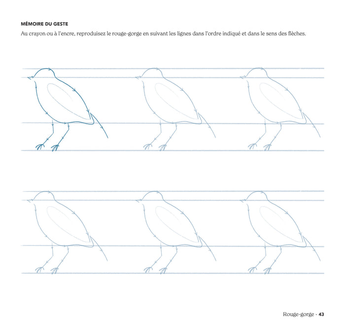 Peindre des animaux supermignons à l'aquarelle