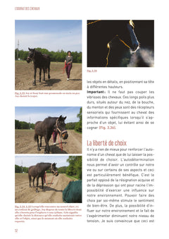 L'odorat des chevaux