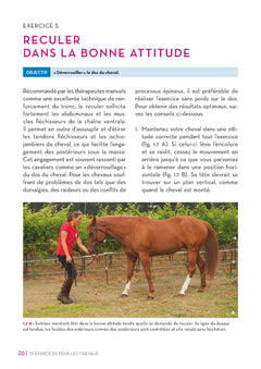 55 exercices pour les chevaux