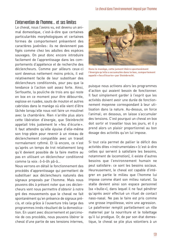 Ethologie et écologie équines