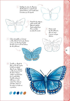 10 étapes pour dessiner des papillons et des insectes