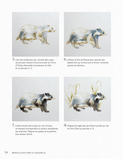 Merveilleuse forêt à l'aquarelle