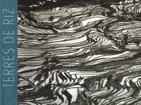 Terres de riz