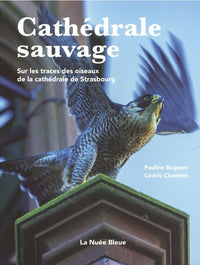 Cathedrale sauvage