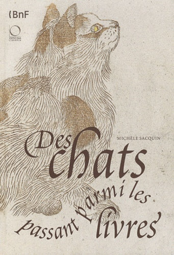 Des chats passant parmi les livres