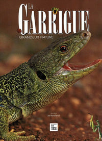 La Garrigue, grandeur nature